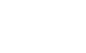 logo tourific final white